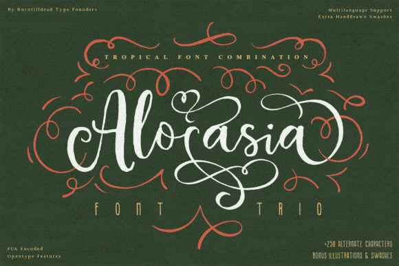 Alocasia Font: A Versatile Typeface for Polished Branding