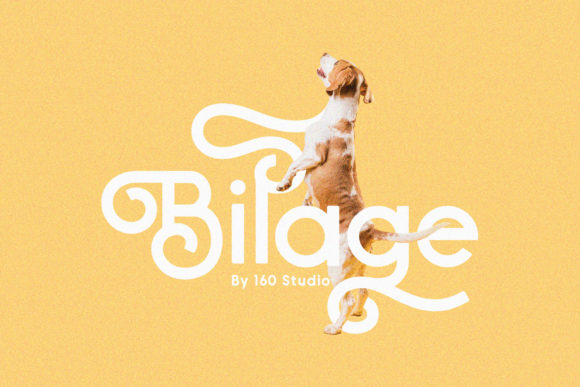 Bilage: A Handwritten Font That Elevates Your Brand
