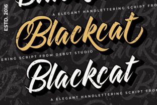 Blackcat Font: A Nostalgic Handwritten Typeface for Digital Design