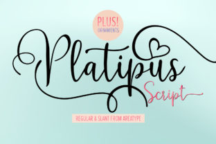 Platipus: A Playful Script Font